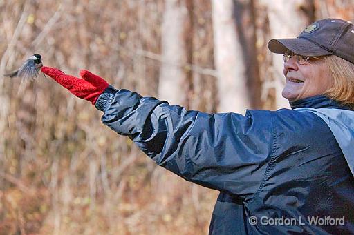Sandra With Chickadee Landing_10086.jpg - Photographed at Ottawa, Ontario - the capital of Canada.